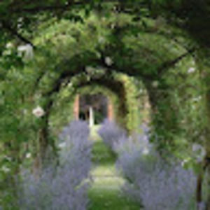 Meet your Posher, Ann